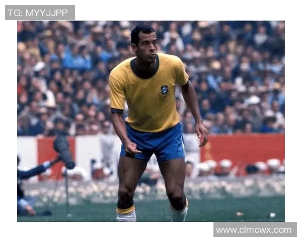 全球历史十大足球球星排行榜 解析各国传奇人物的辉煌成就与影响 全球历史十大足球球星排行榜 解析各国传奇人物的辉煌成就与影响