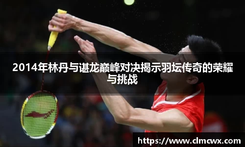 2014年林丹与谌龙巅峰对决揭示羽坛传奇的荣耀与挑战